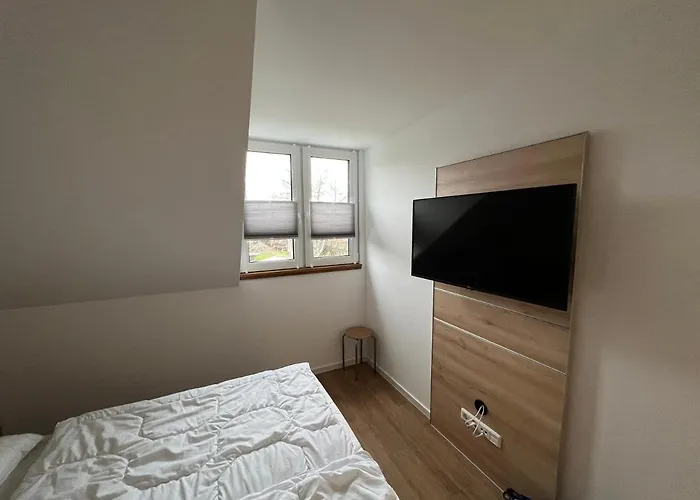 Anton * 드란스케